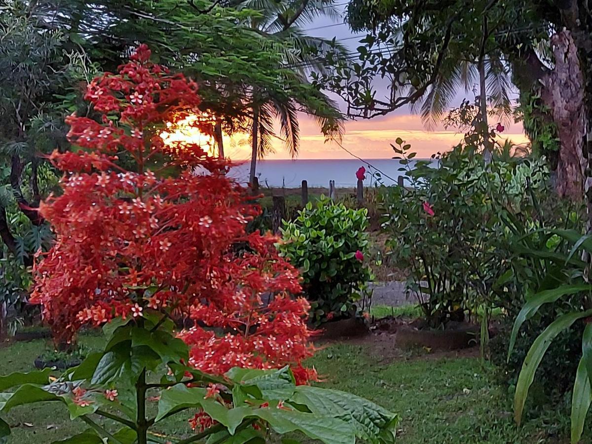 Hotel Gitana Corcovado, Y Tour Operador Drake Bay Exterior photo