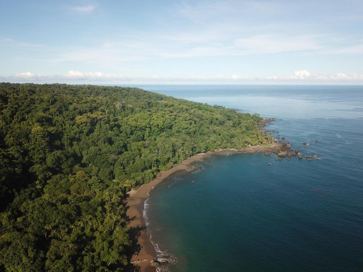 Hotel Gitana Corcovado, Y Tour Operador Drake Bay Exterior photo